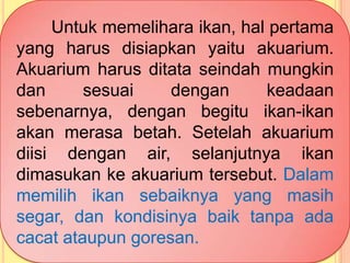 Untuk memelihara ikan, hal pertama
yang harus disiapkan yaitu akuarium.
Akuarium harus ditata seindah mungkin
dan sesuai dengan keadaan
sebenarnya, dengan begitu ikan-ikan
akan merasa betah. Setelah akuarium
diisi dengan air, selanjutnya ikan
dimasukan ke akuarium tersebut. Dalam
memilih ikan sebaiknya yang masih
segar, dan kondisinya baik tanpa ada
cacat ataupun goresan.
 