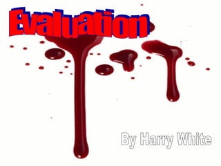 Evaluation By Harry White 