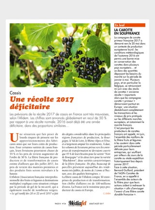 Cassis
Une récolte 2017
déficitaire
Les prévisions de la récolte 2017 de cassis en France sont très mauvaises,
selon l’Afidem. Les chiffres sont annoncés globalement en recul de 50 %
par rapport à une récolte normale. 2016 avait déjà été une année
déficitaire, dans des proportions similaires…
En bref
La carotte
en souffrance
La campagne de carotte
primeur française 2017 a
démarré vers le 20 mai dans
un contexte de production
européenne lourd : les
conditions météorologiques
de l’automne 2016 ont
permis une bonne mise
en conservation des
carottes dans plusieurs
pays européens… et
ce dans des quantités
dépassant les besoins du
marché sur la période de
janvier à mai. Plusieurs
pays, et en particulier la
Belgique, se retrouvaient
mi-juin avec des stocks
de carottes « ancienne
récolte » importants
alors que les campagnes
carotte « primeur »
démarraient partout en
Europe : une situation
déstabilisant complètement
les transactions et les
niveaux de prix pratiqués
sur les différents marchés
européens, et notamment le
marché français.
C’est pourquoi les
producteurs de carottes
français ont appelé, mi-juin,
l’ensemble des maillons de
la filière fruits et légumes
à les soutenir dans cette
période particulièrement
délicate pour leurs
entreprises, qui souffrent
par ailleurs de cours de la
carotte au stade expédition
historiquement bas depuis
janvier 2017.
Face à cette situation,
Bernard Guillard, président
de l’AOPn Carottes de
France, en a appellé à
l’ensemble des acteurs de
la filière pour que leurs
actions aident à redresser la
situation « afin d’envisager
l’avenir d’une filière carotte
durable française ».
Page III - N°24 juillet/août 2017
U
ne situation qui fait peser de
lourds risques de pénurie sur les
approvisionnements des fabri-
cants ainsi que sur leurs coûts de produc-
tion. Pour certaines variétés de cassis fran-
çais, leurs livraisons pourraient chuter de
55 % et les prix de revient augmenter de
l’ordre de 30 %. La filière française de pro-
duction et de transformation de cassis
estime d’ailleurs que dès juillet 2017, les
prix de revient des matières premières et
des produits finis seront réévalués à la
hausse.
L’Afidem (Association française interprofes-
sionnelle des fruits et légumes à destinations
multiples) explique cette situation critique
par la période de gel de la mi-avril, qui a
également touché de nombreux vergers.
« Le gel tardif des 20 et 22 avril 2017 a fait
des dégâts considérables dans les principales
régions françaises de production, la Bour-
gogne, le Val de Loire, le Rhône-Alpes et l’Oise,
et a largement amputé les rendements. À date,
les volumes de livraisons prévus vers les entre-
prises de transformation ne devraient couvrir
que 45 % de leurs besoins pour la variété Noir
de Bourgogne et les deux tiers pour la variété
Blackdown, deux variétés caractéristiques
de la filière française. De plus, beaucoup de
parcelles présentent aujourd’hui des rende-
ments très faibles, de moins de 1 tonne à l’hec-
tare, avec des qualités hétérogènes. »
La filière cassis de l’Afidem compte 30 entre-
prises de production et de transformation.
Son chiffre d’affaires est de 100 millions
d’euros. La France est le troisième pays pro-
ducteur de cassis en Europe.
C. Even
ajlatan/fotolia
 