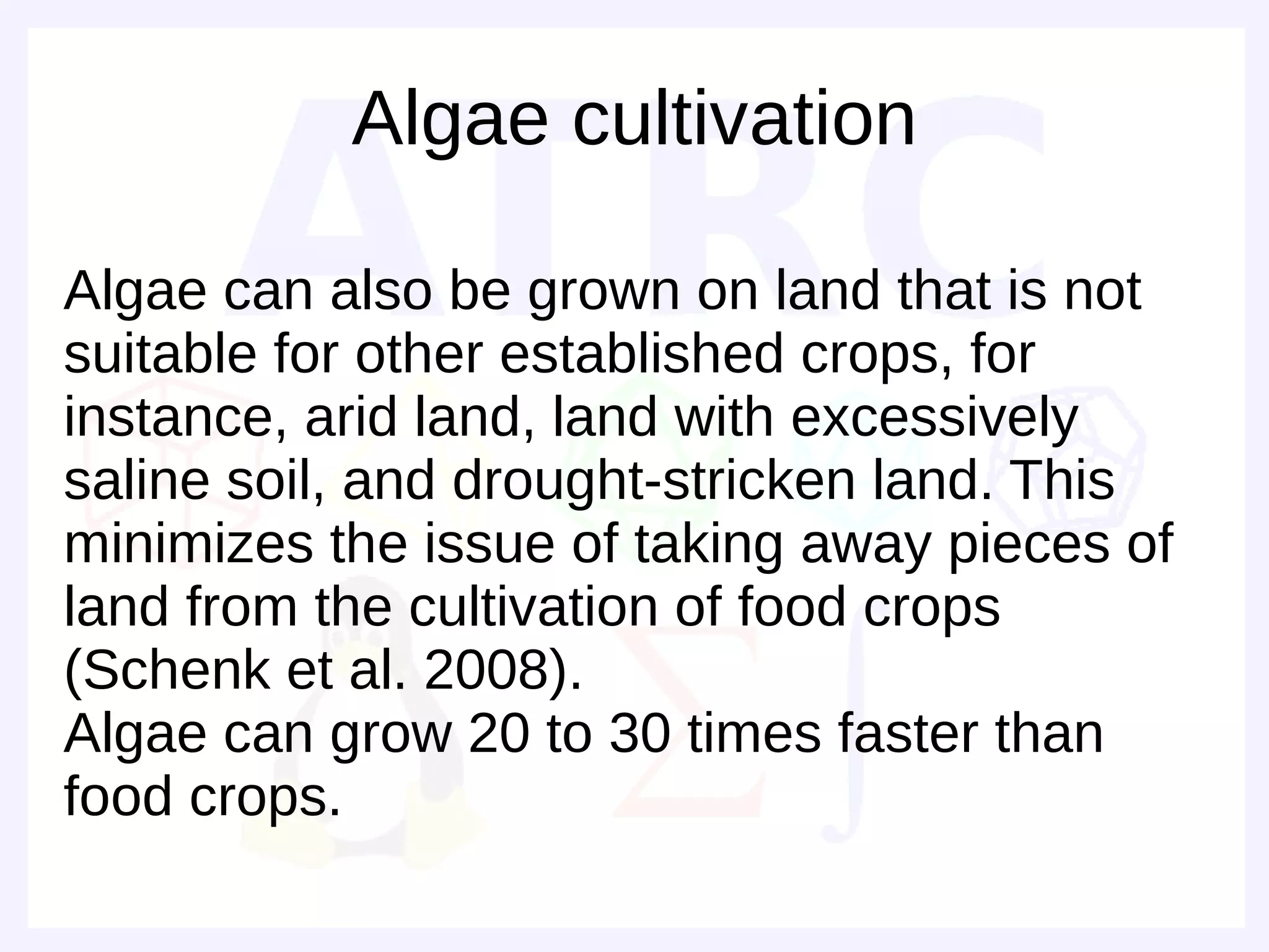 Algae cultivation

Algae can also be grown on land that is not
suitable for other established crops, for
instance, arid land, land with excessively
saline soil, and drought-stricken land. This
minimizes the issue of taking away pieces of
land from the cultivation of food crops
(Schenk et al. 2008).
Algae can grow 20 to 30 times faster than
food crops.
 