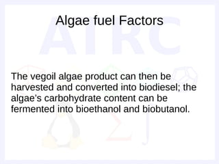 Algae fuel Factors



The vegoil algae product can then be
harvested and converted into biodiesel; the
algae’s carbohydrate content can be
fermented into bioethanol and biobutanol.
 