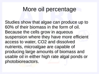 More oil percentage

Studies show that algae can produce up to
60% of their biomass in the form of oil.
Because the cells grow in aqueous
suspension where they have more efficient
access to water, CO2 and dissolved
nutrients, microalgae are capable of
producing large amounts of biomass and
usable oil in either high rate algal ponds or
photobioreactors.
 