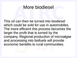 More biodiesel

This oil can then be turned into biodiesel
which could be sold for use in automobiles.
The more efficient this process becomes the
larger the profit that is turned by the
company. Regional production of microalgae
and processing into biofuels will provide
economic benefits to rural communities.
 