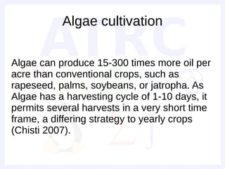Algae cultivation

Algae can produce 15-300 times more oil per
acre than conventional crops, such as
rapeseed, palms, soybeans, or jatropha. As
Algae has a harvesting cycle of 1-10 days, it
permits several harvests in a very short time
frame, a differing strategy to yearly crops
(Chisti 2007).
 
