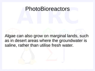 PhotoBioreactors



Algae can also grow on marginal lands, such
as in desert areas where the groundwater is
saline, rather than utilise fresh water.
 