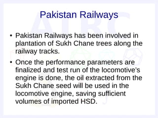 Pakistan Railways
●   Pakistan Railways has been involved in
    plantation of Sukh Chane trees along the
    railway tracks.
●   Once the performance parameters are
    finalized and test run of the locomotive’s
    engine is done, the oil extracted from the
    Sukh Chane seed will be used in the
    locomotive engine, saving sufficient
    volumes of imported HSD.
 