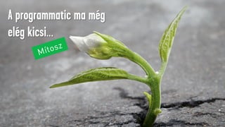 A programmatic ma még
elég kicsi…
 