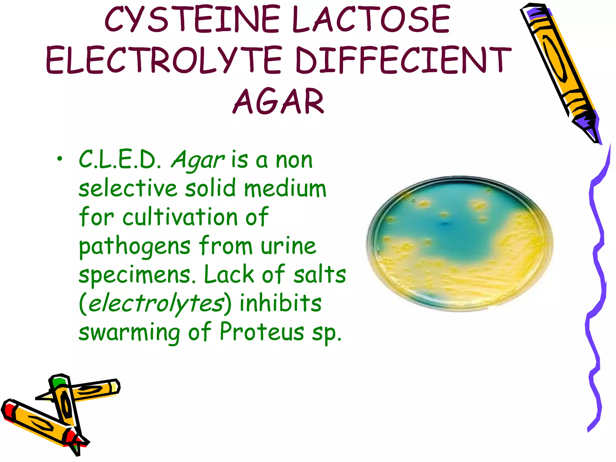 Media in microbiology | PPT