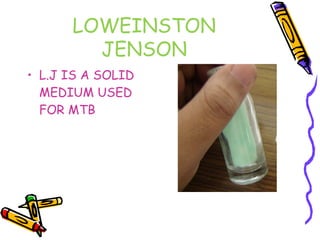 • L.J IS A SOLID
MEDIUM USED
FOR MTB
LOWEINSTON
JENSON
 