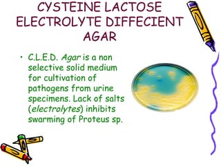 CYSTEINE LACTOSE
ELECTROLYTE DIFFECIENT
AGAR
• C.L.E.D. Agar is a non
selective solid medium
for cultivation of
pathogens from urine
specimens. Lack of salts
(electrolytes) inhibits
swarming of Proteus sp.
 