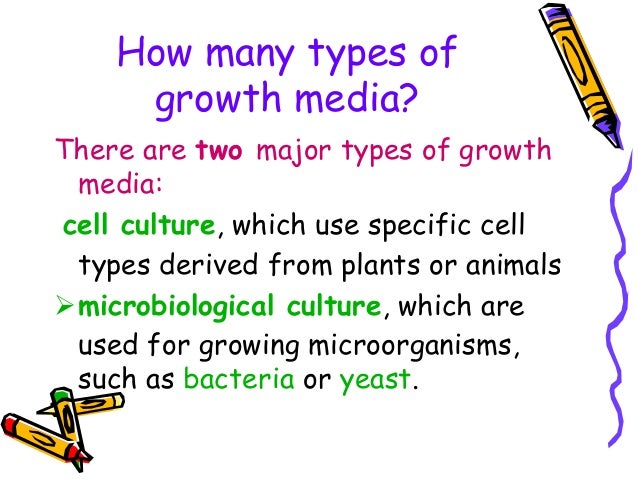 TYPES OF MEDIA IN MICROBIOLOGY DOWNLOAD TYPES OF MEDIA IN MICROBIOLOGY DOWNLOAD