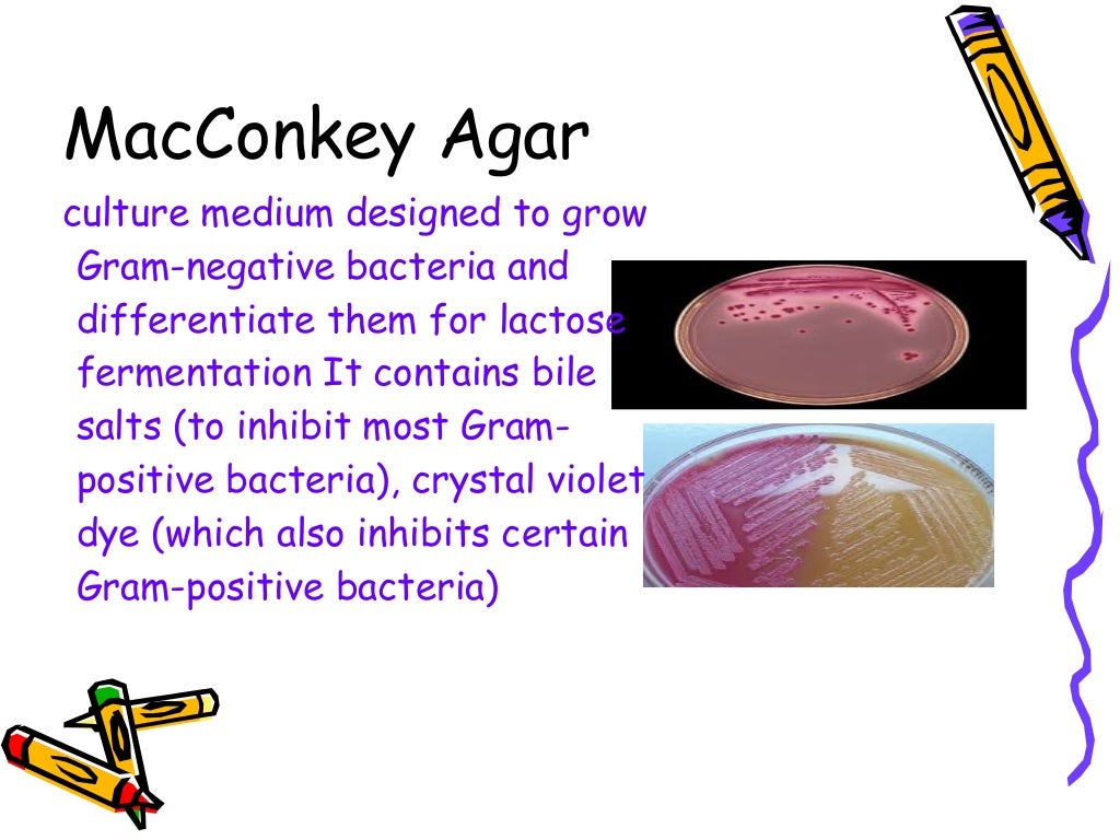Media in microbiology