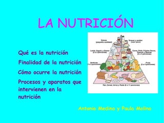 LA NUTRICIÓN Qué es la nutrición Finalidad de la nutrición Cómo ocurre la nutrición Procesos y aparatos que intervienen en la nutrición Antonio Medina y Paula Molina 