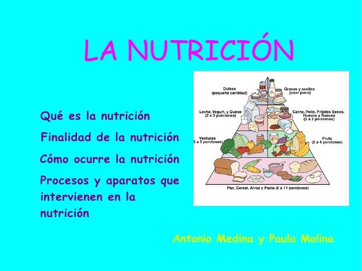 Que es la nutricion