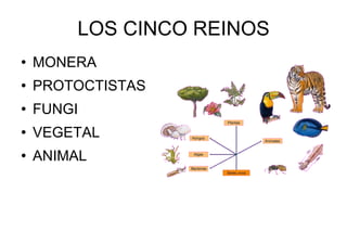 LOS CINCO REINOS ,[object Object],[object Object],[object Object],[object Object],[object Object]