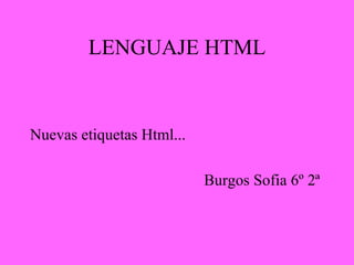 LENGUAJE HTML


Nuevas etiquetas Html...

                           Burgos Sofia 6º 2ª
 