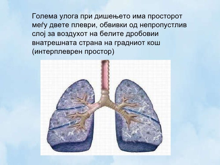 дишење