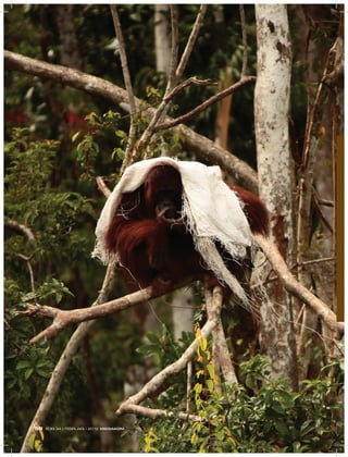 EDISI 34 I FEBRUARI I 2012 MEDIAKOM58
 