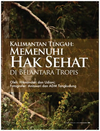 Kalimantan Tengah:
Memenuhi
Hak Sehat
di Belantara Tropis
Oleh: Hikmandari dan Udiani;
Fotografer: Anitasari dan ADM Tangkudung
EDISI 34 I FEBRUARI I 2012 MEDIAKOM 59
 