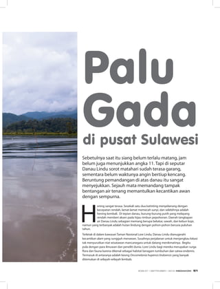 di pusat Sulawesi
Sebetulnya saat itu siang belum terlalu matang, jam
belum juga menunjukkan angka 11. Tapi di seputar
Danau Lindu sorot matahari sudah terasa garang,
sementara belum waktunya angin bertiup kencang.
Beruntung pemandangan di atas danau itu sangat
menyejukkan. Sejauh mata memandang tampak
bentangan air tenang memantulkan kecantikan awan
dengan sempurna.
Palu
Gada
H
ening sangat terasa. Sesekali satu dua katinting menyeberang dengan
kecepatan rendah, lamat-lamat memecah sunyi, dan selebihnya adalah
hening kembali. Di tepian danau, burung-burung putih yang melayang
rendah memberi aksen pada hijau rimbun pepohonan. Daerah tangkapan
air Danau Lindu sebagian memang berupa belukar, sawah, dan kebun kopi,
namun yang terbanyak adalah hutan lindung dengan pohon-pohon berusia puluhan
tahun.
Terletak di dalam kawasan Taman Nasional Lore Lindu, Danau Lindu dianugerahi
kecantikan alam yang sungguh menawan. Susahnya perjalanan untuk menjangkau lokasi
tak menyurutkan niat wisatawan mancanegara untuk datang menikmatinya. Begitu
pula dengan para ilmuwan dan peneliti dunia. Lore Lindu bagi mereka merupakan surga
flora dan fauna karena dikenal sebagai habitat beragam tumbuhan dan satwa endemis.
Termasuk di antaranya adalah keong Oncomelania hupensis lindoensis yang banyak
ditemukan di wilayah-wilayah lembab.
EDISI 37 I SEPTEMBER I 2012 MEDIAKOM 51
 