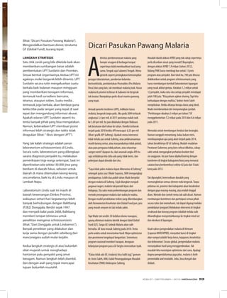 Dicari Pasukan Pawang Malaria
A
ktivitas pemberantasan malaria yang
hampir seragam di berbagai tempat
sepertinya tidak membuahkan hasil yang
sama.Tengok saja SulawesiTengah. Menu
generik seperti peningkatan keterampilan
petugas laboratorium, pemberian kelambu
berinsektisida, pembentukan Posmaldes (Pos Malaria
Desa) dan yang lain, tak membuat malaria jinak. Kasus
malaria di provinsi terbesar di Sulawesi ini bergerak
tak teratur. Nampaknya perlu dicari mantra pawang
yang tepat.
Annual parasite incidence (API), indikator kasus
malaria, bergerak tanpa pola. Jika pada 2004 terlacak
angkanya 3,4 per mil, di 2011 posisinya malah naik
ke 3,69 per mil. Itu pun didahului dengan fluktuasi
tak beraturan dari tahun ke tahun. Kondisi terburuk
terjadi pada 2010 ketika API mencapai 6,55 per mil
(lihat: grafik API Sulteng). Apakah menu intervensi
tidak terlalu pas untuk Sulteng, atau pelaksanaannya
masih kurang serius, atau masyarakatnya tidak peduli,
atau para penguasa tidak paham, atau situasinya
sangat rumit? Apapun itu, dari anomali angka API itu
saja setidaknya kita tahu ada yang tidak beres, dan
pekerjaan dapat dimulai dari situ.
“Saya tidak yakin malaria dapat diberantas di Sulteng,”
setengah putus asa I Made Suyasna, SKM mengungkap
pendapatnya. Lebih dua puluh tahun Made bergelut
dengan malaria di Sulteng. Sejak diangkat menjadi
pegawai negeri, malaria tak pernah lepas dari
hidupnya. Dia saksi mata perkembangan program dan
metode penanganan malaria dari waktu ke waktu.
Dengan model pendekatan terkini yang dikembangkan
oleh Kementerian Kesehatan dan Global Fund pun, pria
yang murah senyum ini tak terlalu yakin.
Tapi Made tak sendiri. Di belahan dunia manapun,
gaung eliminasi malaria identik dengan label Global
Fund (GF).Tanpa GF, Gebrak Malaria akan sulit
bernafas. GF baru masuk Sulteng pada 2010.Tentu
perlu waktu untuk menetaskan hasil.Wajar optimisme
dan pesimisme bergelayut bergantian. Sementara
program nasional memberi harapan, keraguan
kelanjutan program pasca GF begitu menciutkan nyali.
“Kalau tidak ada GF, (malaria) bisa balik lagi,”gumam
dr. Amin Saleh, MM, Kabid Penanggulangan Masalah
Kesehatan (PMK) Dinkesprov Sulteng.
Masalah klasik alokasi APBD yang tak cukup sepertinya
perlu dicarikan siasat yang inovatif. Bayangkan,
dengan alokasi APBD 1,9 milyar (tahun 2012),
Bidang PMK harus membagi kue untuk 13 jenis
program atau penyakit. Dari total itu, 700 juta khusus
dialokasikan untuk program schistosomiasis yang
harus membangun kembali laboratorium lapangan
yang rusak akibat gempa. Katakan 1,2 milyar untuk
12 penyakit, maka rata-rata setiap penyakit mendapat
jatah 100 juta.“Kita paham ajakan sharing.Tapi kita
berhadapan dengan realitas,”dokter Amin Saleh
menjelaskan. Ketika ditanya berapa dana yang ideal,
Made memberanikan diri menyorongkan jumlah.
“Perhitungan idealnya 3 milyar per tahun.”GF
menggelontorkan 7,2 milyar pada 2010 dan 8,6 milyar
pada 2011.
Memadai untuk membangun fondasi dan kerangka.
Namun sungguh menantang, kalau bukan miris,
membayangkan apa yang akan terjadi pada 2014,
tahun berakhirnya GF di Sulteng. Mudah-mudahan
Peraturan Gubernur, yang baru selesai dibahas, cukup
sakti untuk mengangkat perhatian konkret dari
sisi anggaran. Ini pun harus dipikul bareng dengan
komitmen di tingkat kabupaten/kota yang menurut
catatan baru berkontribusi sekitar 62 juta dari 5 kab/
kota pada 2012.
Tak dipungkiri, ketersediaan danalah yang
memungkinkan semua elemen roda bergerak.Tanpa
pelumas ini, provinsi dan kabupaten akan berakrobat
dengan gaya masing-masing, atau malah tinggal
diam. Metode dan contoh tentu tak sulit dicari. Namun
membangun komitmen dan partisipasi semua pihak
secara tulus dan memahami, tak dapat digarap melalui
pendekatan‘program’.Melakukan intervensi di tingkat
struktural dan konsep program tidaklah terlalu sulit
dibandingkan menyentuhkannya ke tingkat mind set
dan eksekusi di lapangan.
Kisah sukses pengendalian malaria diVietnam
(LaporanWHOWPRO), menyebut kunci di tingkat
akar rumput adalah‘kerja keras, kejujuran, kreativitias
dan keberanian’. Secara global, pengendalian malaria
menunjukkan hasil yang menggembirakan.Tak
masalah kita meminjam optimisme dari sana. Apalagi
dogma pengendaliannya juga jelas, malaria is both
preventable and treatable. Jelas, bisa dicegah dan
diobati.
(lihat:“Dicari: Pasukan Pawang Malaria”).
Mengandalkan bantuan donor, terutama
GF (Global Fund), kurang tepat.
LANGKAH STRATEGIS
Satu titik cerah yang bila dikelola baik akan
memberikan sumbangan besar adalah
pembentukan UPT Surdatin dan Promkes.
Sesuai bentuk organisainya, kedua UPT ini
agaknya mulai bergerak lebih dinamis. UPT
Surdatin secara rutin mengeluarkan suatu
berkala baik bulanan maupun mingguan
yang memberikan beragam informasi,
termasuk hasil surveilans bencana,
tetanus, ataupun rabies. Suatu media ,
termasuk juga berkala, akan berdaya guna
ketika tiba pada tangan yang tepat di saat
tepat dan mengandung informasi akurat.
Apakah edaran UPT Surdatin seperti itu
tentu banyak pihak yang bisa mengatakan.
Namun, keberadaan UPT membuat posisi
informasi lebih strategis dan taktis tidak
diragukan (lihat:“ Eksis dengan UPT”).
Yang tak kalah strategis adalah peran
laboratorium schistosomiasis di Lindu.
Secara rutin, laboratorium yang dilengkapi
sarana diagnosis penyakit itu, melakukan
pemeriksaan tinja warga setempat. Saat ini
diperkirakan ada sekitar 30.000 jiwa yang
berdiam di daerah fokus, sebutan untuk
daerah di mana ditemukan keong-keong
oncomelania, baik itu di Lindu maupun di
Lembah Napu.
Laboratorium Lindu saat ini masih di
bawah kewenangan Dinkes Provinsi,
walaupun sehari-hari kegiatannya lebih
banyak berhubungan dengan Balitbang
(P2B2) Donggala. Berdiri sejak 1997
dan menjadi balai pada 2008, Balitbang
memberi tempat istimewa untuk
penelitian mengenai schistosomiasis
(lihat:“Dari Donggala untuk Lindoensis”).
Banyak penelitian yang dilakukan dan
kerja sama dengan peneliti sebidang dari
mancanegara sudah mulai terjalin.
Kedua langkah strategis di atas bukanlah
obat mujarab untuk menghadapi
hantaman palu penyakit yang amat
beragam. Namun langkah telah diambil,
dan dengan arah yang tepat mencapai
tujuan bukanlah mustahil.
EDISI 37 I SEPTEMBER I 2012 MEDIAKOM 53
 