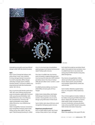 terjangkitnya penyakit yang juga dikenal
dengan istilah SARS-like disease tersebut.
Apa?
Kata“Corona”berasal dari bahasa Latin
yang artinya“crown”atau mahkota.
Ini sesuai dengan bentuk Coronavirus
itu sendiri yang kalau dilihat dengan
mikroskop nampak seperti mahkota
(Gambar bawah). Coronavirus adalah virus
yang berbentuk bulat dan berdiameter
sekitar 100-120 nm.
Virus ini pertama kali diisolasi pada tahun
1965, dari cairan hidung seorang anak
yang menampakan gejala pilek (common
cold), yang biasanya disebabkan oleh
infeksi Rhinovirus atau virus Influenza.
Dan, kenyataannya, memang sulit
sekali membedakan antara gejala
infeksi Rhinovirus, virus Influenza dan
Coronavirus.
Selain menginfeksi manusia, Coronavirus
juga menginfeksi binatang seperti babi,
anjing, kucing, tikus, kelinci, sapi, dan
ayam. Pada binatang-binatang ini, infeksi
virus ini umumnya juga menyebabkan
gejala gangguan pernapasan (pneumonia)
seperti halnya pada manusia. 
Virus baru ini adalah tipe virus korona
yang merupakan anggota keluarga besar
virus termasuk flu biasa dan SARS (sindrom
pernafasan akut). Virus baru ini bukan
SARS dan kini diberi nama ”London1_novel
CoV 2012.”
Ini adalah pertama kalinya virus korona
diidentifikasi di dunia yaitu di Timur
Tengah.
Infeksi terkini diidentifikasi oleh Badan
Perlindungan Kesehatan di Colindale,
London. Secara genetik, virus ini sama
dengan yang ditemukan di Arab Saudi.
Saat ini belum ada cukup informasi untuk
mengetahui bahayanya pada manusia.
Bagaimana penyebarannya?
Virus ini tidak stabil di udara, dan hanya
mampu hidup selama 3 jam, sehingga
kecil sekali kemungkinan penularan lewat
udara. Kemungkinan besar penularan virus
ini adalah lewat bersin atau batuk dari
orang yang terinfeksi kepada orang yang
dekat dengannya. 
Virus korona mengakibatkan infeksi
saluran pernafasan pada manusia dan
hewan. Kedua pasien yang terinfeksi
menunjukkan gejala demam, batuk dan
sulit bernafas.
Saat ini belum diketahui apakah kedua
kasus itu merupakan infeksi tipikal atau
bukan.
Virus ini kemungkinan tersebar melalui air
liur ketika orang yang terinfeksi batuk atau
bersin. Tetapi para ahli yakin virus korona
tidak terlalu mudah menyebar karena
menurut mereka jika memang demikian,
maka seharusnya lebih banyak orang yang
telah tertular dan bukan hanya dua.
Apa gejalanya?
Mula-mula gejalanya mirip seperti flu dan
Virus Corona
EDISI 38 I OKTOBER I 2012 MEDIAKOM 17
 