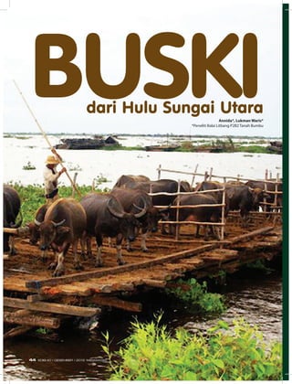 Daerah
dari Hulu Sungai Utara
Annida*, Lukman Waris*
*Peneliti Balai Litbang P2B2 Tanah Bumbu
BUSKI
44 EDISI 40 I DESEMBER I 2012 MEDIAKOM
 