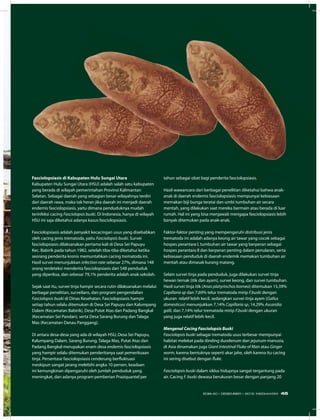 Fasciolopsiasis di kabupaten Hulu Sungai Utara
Kabupaten Hulu Sungai Utara (HSU) adalah salah satu kabupaten
yang berada di wilayah pemerintahan Provinsi Kalimantan
Selatan. Sebagai daerah yang sebagian besar wilayahnya terdiri
dari daerah rawa, maka tak heran jika daerah ini menjadi daerah
endemis fasciolopsiasis, yaitu dimana penduduknya mudah
terinfeksi cacing Fasciolopsis buski. Di Indonesia, hanya di wilayah
HSU ini saja diketahui adanya kasus fasciolopsiasis.
Fasciolopsiasis adalah penyakit kecacingan usus yang disebabkan
oleh cacing jenis trematoda, yaitu Fasciolopsis buski. Survei
fasciolopsiasis dilaksanakan pertama kali di Desa Sei Papuyu
Kec. Babirik pada tahun 1982, setelah tiba-tiba diketahui ketika
seorang penderita kronis memuntahkan cacing trematoda ini.
Hasil survei menunjukkan infection rate sebesar 27%, dimana 148
orang terdeteksi menderita fasciolopsiasis dari 548 penduduk
yang diperiksa, dan sebesar 79,1% penderita adalah anak sekolah.
Sejak saat itu, survei tinja hampir secara rutin dilaksanakan melalui
berbagai penelitian, surveilans, dan program pengendalian
Fasciolopsis buski di Dinas Kesehatan. Fasciolopsiasis hampir
setiap tahun selalu ditemukan di Desa Sei Papuyu dan Kalumpang
Dalam (Kecamatan Babirik), Desa Putat Atas dan Padang Bangkal
(Kecamatan Sei Pandan), serta Desa Sarang Burung dan Talaga
Mas (Kecamatan Danau Panggang).
Di antara desa-desa yang ada di wilayah HSU, Desa Sei Papuyu,
Kalumpang Dalam, Sarang Burung, Talaga Mas, Putat Atas dan
Padang Bangkal merupakan enam desa endemis fasciolopsiasis
yang hampir selalu ditemukan penderitanya saat pemeriksaan
tinja. Persentase fasciolopsiasis cenderung berfluktuasi
meskipun sangat jarang melebihi angka 10 persen, keadaan
ini kemungkinan dipengaruhi oleh jumlah penduduk yang
meningkat, dan adanya program pemberian Praziquantel per
tahun sebagai obat bagi penderita fasciolopsiasis.
Hasil wawancara dari berbagai penelitian diketahui bahwa anak-
anak di daerah endemis fasciolopsiasis mempunyai kebiasaan
memakan biji bunga teratai dan umbi tumbuhan air secara
mentah, yang dilakukan saat mereka bermain atau berada di luar
rumah. Hal ini yang bisa menjawab mengapa fasciolopsiasis lebih
banyak ditemukan pada anak-anak.
Faktor-faktor penting yang mempengaruhi distribusi jenis
trematoda ini adalah adanya keong air tawar yang cocok sebagai
hospes perantara I, tumbuhan air tawar yang berperan sebagai
hospes perantara II dan berperan penting dalam penularan, serta
kebiasaan penduduk di daerah endemik memakan tumbuhan air
mentah atau dimasak kurang matang.
Selain survei tinja pada penduduk, juga dilakukan survei tinja
hewan ternak (itik dan ayam), survei keong, dan survei tumbuhan.
Hasil survei tinja itik (Anas platyrinchos borneo) ditemukan 15,39%
Capillaria sp dan 7,69% telur trematoda mirip F.buski dengan
ukuran relatif lebih kecil, sedangkan survei tinja ayam (Gallus
domesticus) menunjukkan 7,14% Capillaria sp, 14,29% Ascaridia
galli, dan 7,14% telur trematoda mirip F.buski dengan ukuran
yang juga relatif lebih kecil.
Mengenal Cacing Fasciolopsis Buski
Fasciolopsis buski sebagai trematoda usus terbesar mempunyai
habitat melekat pada dinding duodenum dan jejunum manusia,
di Asia dinamakan juga Giant Intestinal Fluke of Man atau Ginger
worm, karena bentuknya seperti akar jahe, oleh karena itu cacing
ini sering disebut dengan fluke.
Fasciolopsis buski dalam siklus hidupnya sangat tergantung pada
air. Cacing F. buski dewasa berukuran besar dengan panjang 20
tahun sebagai obat bagi penderita fasciolopsiasis.
45EDISI 40 I DESEMBER I 2012 MEDIAKOM
 