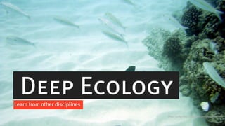 Deep Ecology
Learn from other disciplines
                               Photo credits: http://www.flickr.com/photos/emonxie/
 