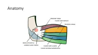 Medial and lateral epicondylitis elbow presentation | PPTX