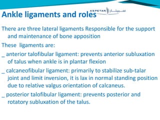 Ankle ligaments and roles
There are three lateral ligaments Responsible for the support
and maintenance of bone apposition
These ligaments are:
_ anterior talofibular ligament: prevents anterior subluxation
of talus when ankle is in plantar flexion
_ calcaneofibular ligament: primarily to stabilize sub-talar
joint and limit inversion, it is lax in normal standing position
due to relative valgus orientation of calcaneus.
_ posterior talofibular ligament: prevents posterior and
rotatory subluxation of the talus.
 