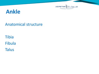 Ankle
Anatomical structure
Tibia
Fibula
Talus
 