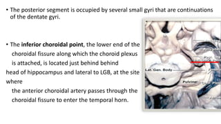MEDIAL HEMISPHERIC SURFACE.pptx