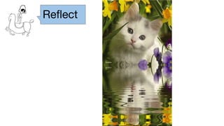 Reflect
 