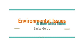 Environmental Issues
Sinisa Golub
& How to Fix Them
Week 3
 