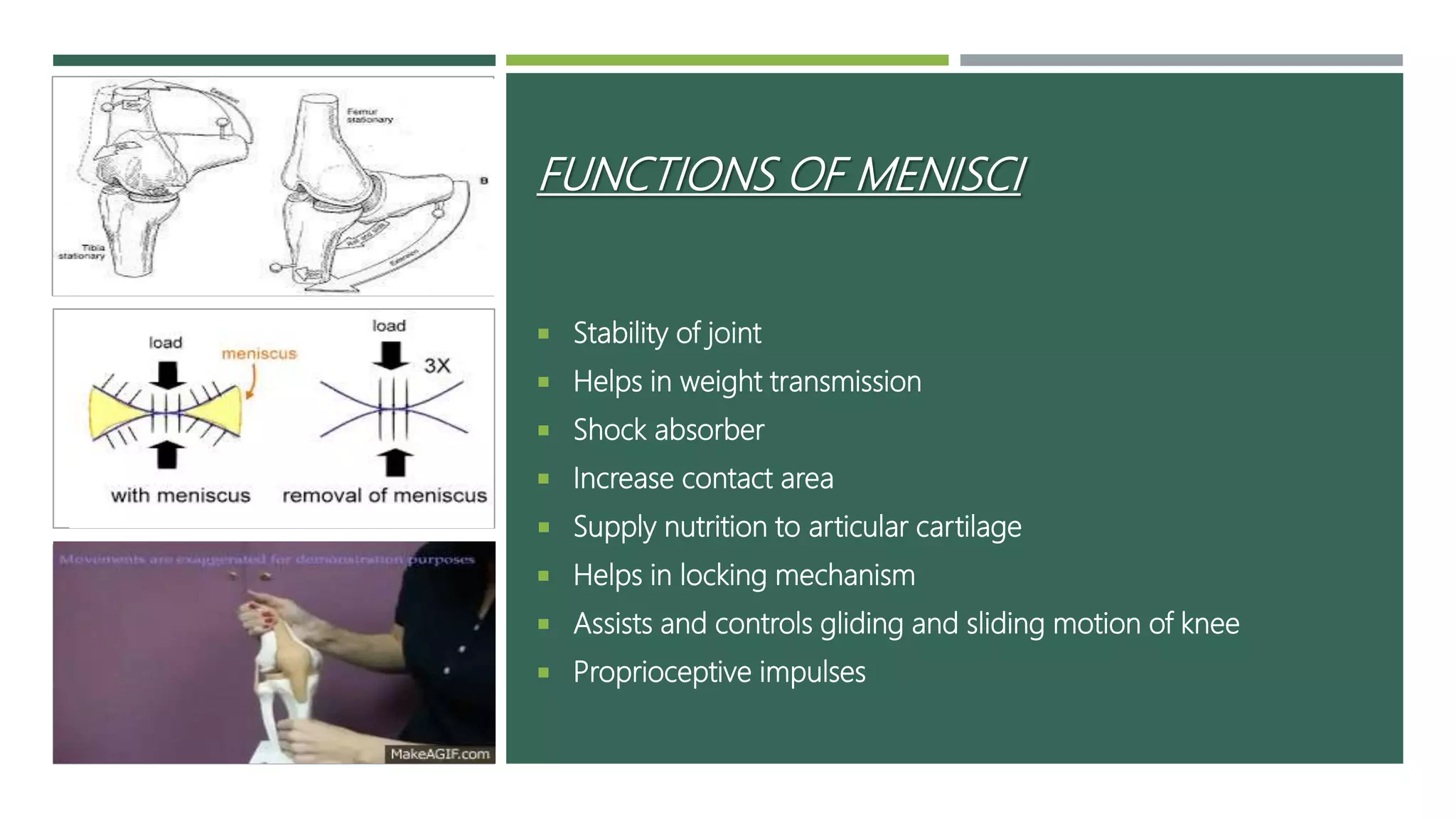 Medial meniscus injury and physiotherapy treatment | PPT