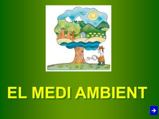 EL MEDI AMBIENT
 