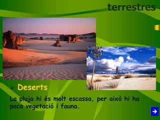  Deserts
La pluja hi és molt escassa, per això hi ha
poca vegetació i fauna.
terrestres
 