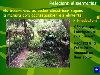 Els éssers vius es poden classificar segons
la manera com aconsegueixen els aliments.
 Productors
Són els que
fabriquen el
seu aliment.
Realitzen la
fotosíntesi i
necessiten
llum solar
Relacions alimentàries
 