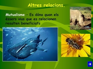 Altres relacions.
Mutualisme – Es dóna quan els
éssers vius que es relacionen
resulten beneficiats
 
