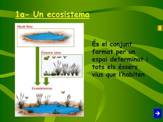 1a- Un ecosistema
És el conjunt
format per un
espai determinat i
tots els éssers
vius que l’habiten
 