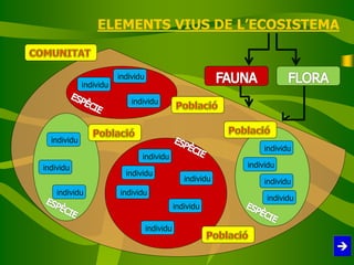 ELEMENTS VIUS DE L’ECOSISTEMA
individu
individu
individu
individu
individu
individu
individu
individu
individu
individu
individu
individu
individu
individu
individu
individu
 