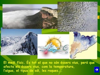 El medi físic. És tot el que no són éssers vius, però que
afecta els éssers vius, com la temperatura,
l’aigua, el tipus de sòl, les roques...
 