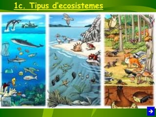 1c. Tipus d’ecosistemes
 