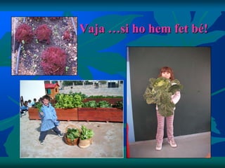 Vaja …si ho hem fet bé!
 