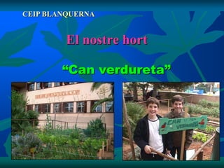 CEIP BLANQUERNA


         El nostre hort

        “Can verdureta”
 