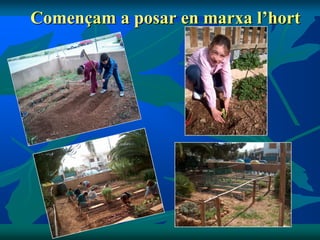 Començam a posar en marxa l’hort
 