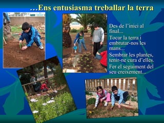 …Ens entusiasma treballar la terra

                       Des de l’inici al
                        final...
                       Tocar la terra i
                        embrutar-nos les
                        mans...
                       Sembrar les plantes,
                        tenir-ne cura d’elles.
                       Fer el seguiment del
                        seu creixement...
 