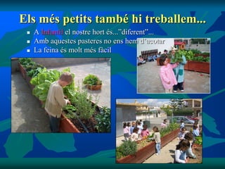 Els més petits també hi treballem...
    A Infantil el nostre hort és...”diferent”...
    Amb aquestes pasteres no ens hem d’acotar
    La feina és molt més fàcil
 