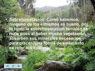 Sobreforestación : Como sabemos, ninguno de los extremos es bueno, por lo tanto la sobreforestación también es mala pues al haber mucha vegetación, absorben sus minerales necesarios para crecer. Una forma de evitar esto es rotar los cultivos.  